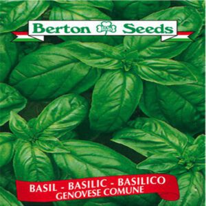 Berton Seeds- Herbes Basilic Genovese Comune