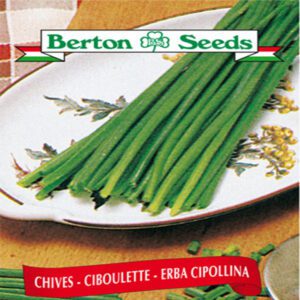 Berton Seeds - Herbes Ciboulette