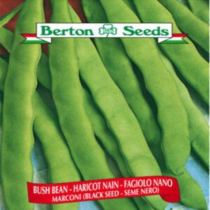 Berton Seeds - Légumes Haricots Nain (graine noire)