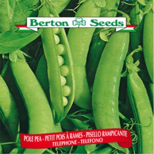 Berton Seeds - Légumes Petit Pois à Rames Telephone