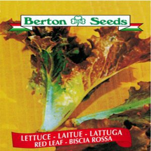 Berton Seeds - Laitue Feuille rouge