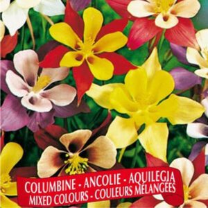 Berton Seeds - Fleurs Ancolie
