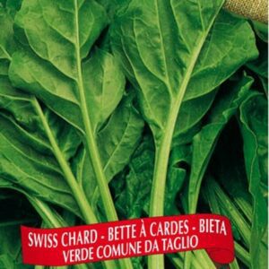 Berton Seeds - Laitue Bettes à Carde Comune da Taglio