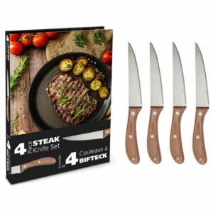 Danesco - Ensemble de 4 couteaux à bifteck