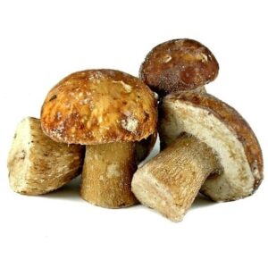 Champignons Porcini congelés, 1000g