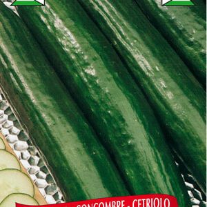 Berton Seeds - Légumes Concombre Long Vert